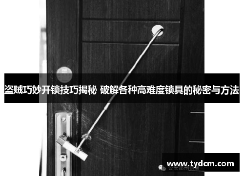 盗贼巧妙开锁技巧揭秘 破解各种高难度锁具的秘密与方法