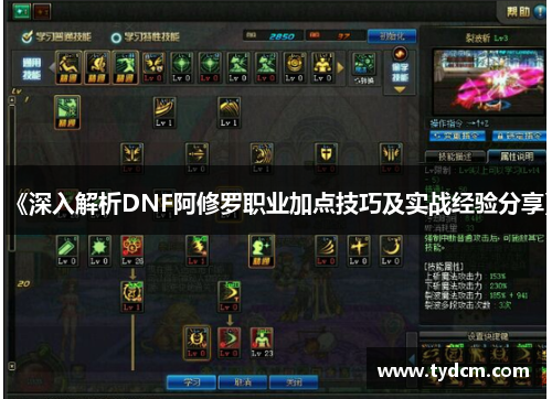 《深入解析DNF阿修罗职业加点技巧及实战经验分享》