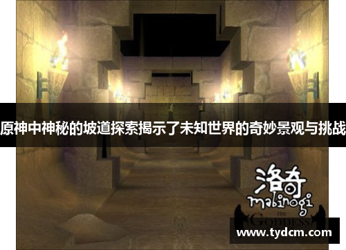 原神中神秘的坡道探索揭示了未知世界的奇妙景观与挑战